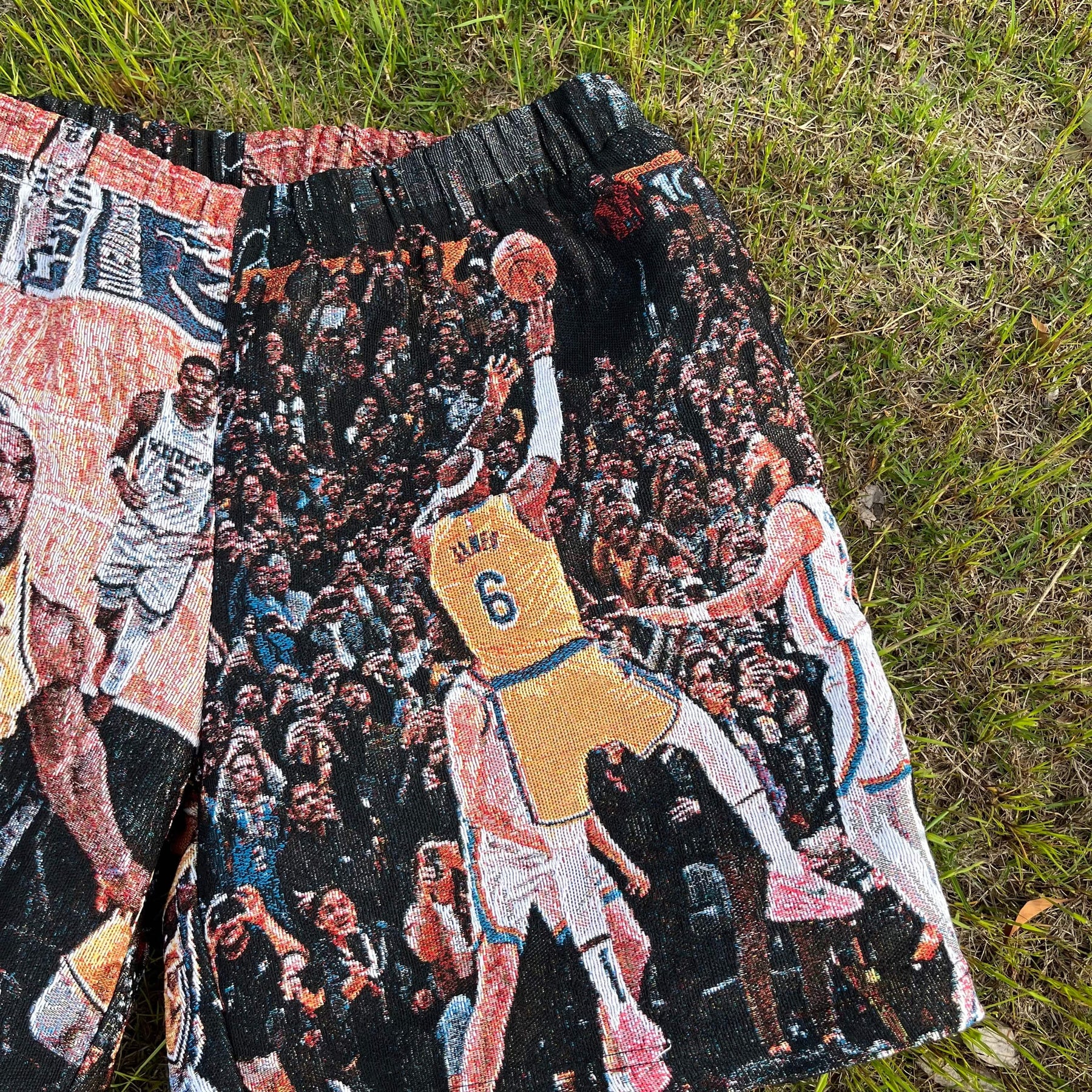 RDMCLOTHINGART tapestry hoodie LBJ TAPESTRY SHORTS