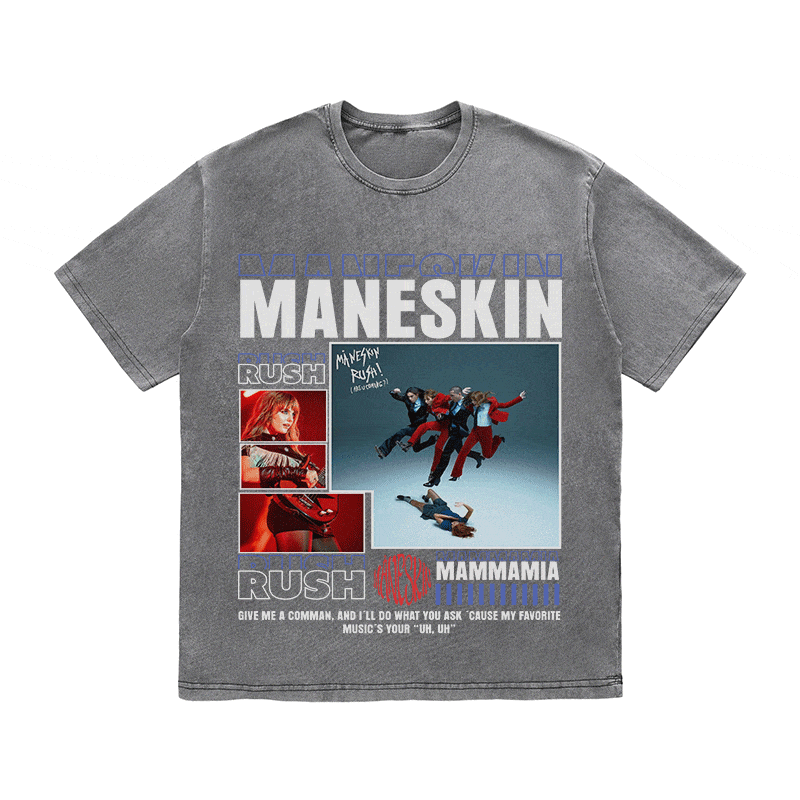 RDMCLOTHINGART tapestry hoodie MANESKIN HEAVY WEIGHT COTTON TEE-9008