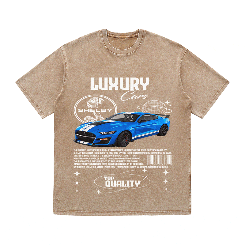 RDMCLOTHINGART tapestry hoodie SHELBY HEAVY WEIGHT COTTON TEE-9111