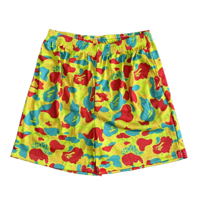 COLORFUL CAMO MESH SHORTS-8729