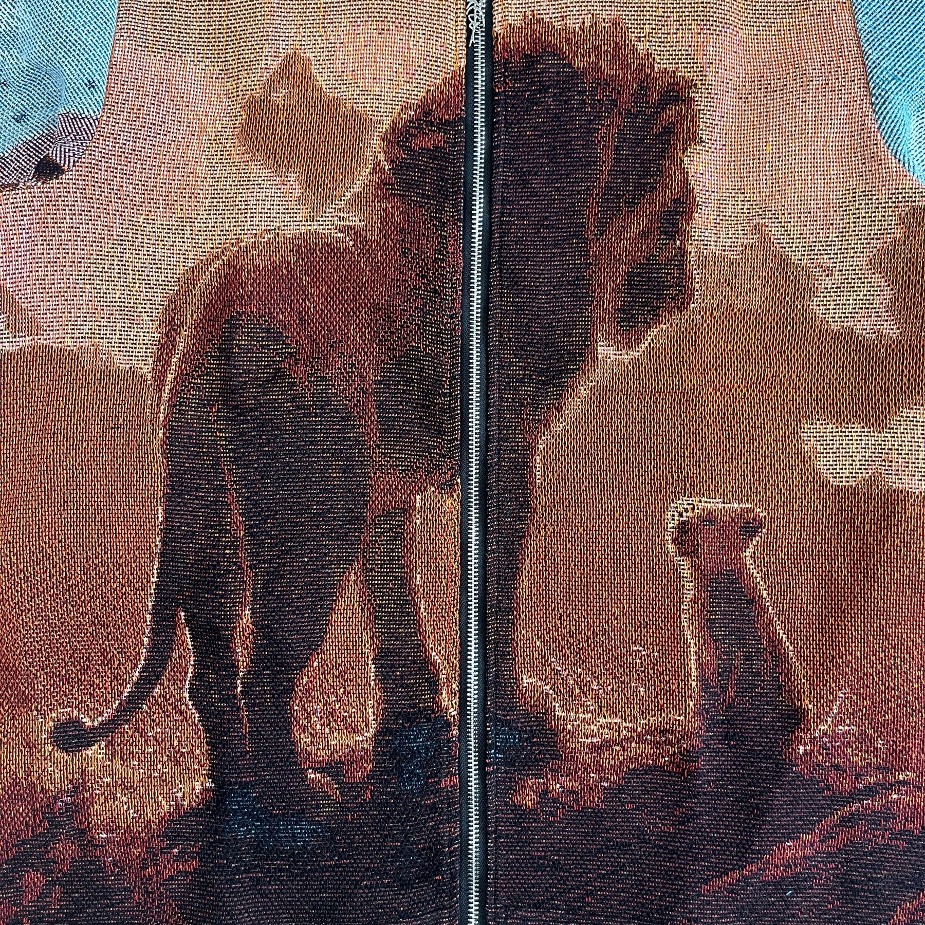 LION KING TAPESTRY JACKET