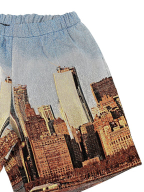 RDMCLOTHINGART tapestry hoodie NEW YORK SHORTS